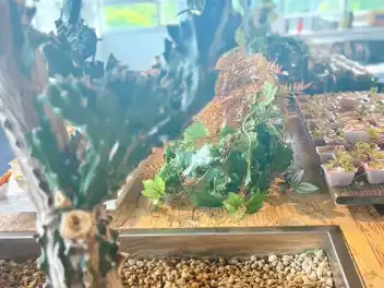 ケータリング事例写真-12