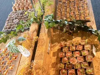 ケータリング事例写真-13